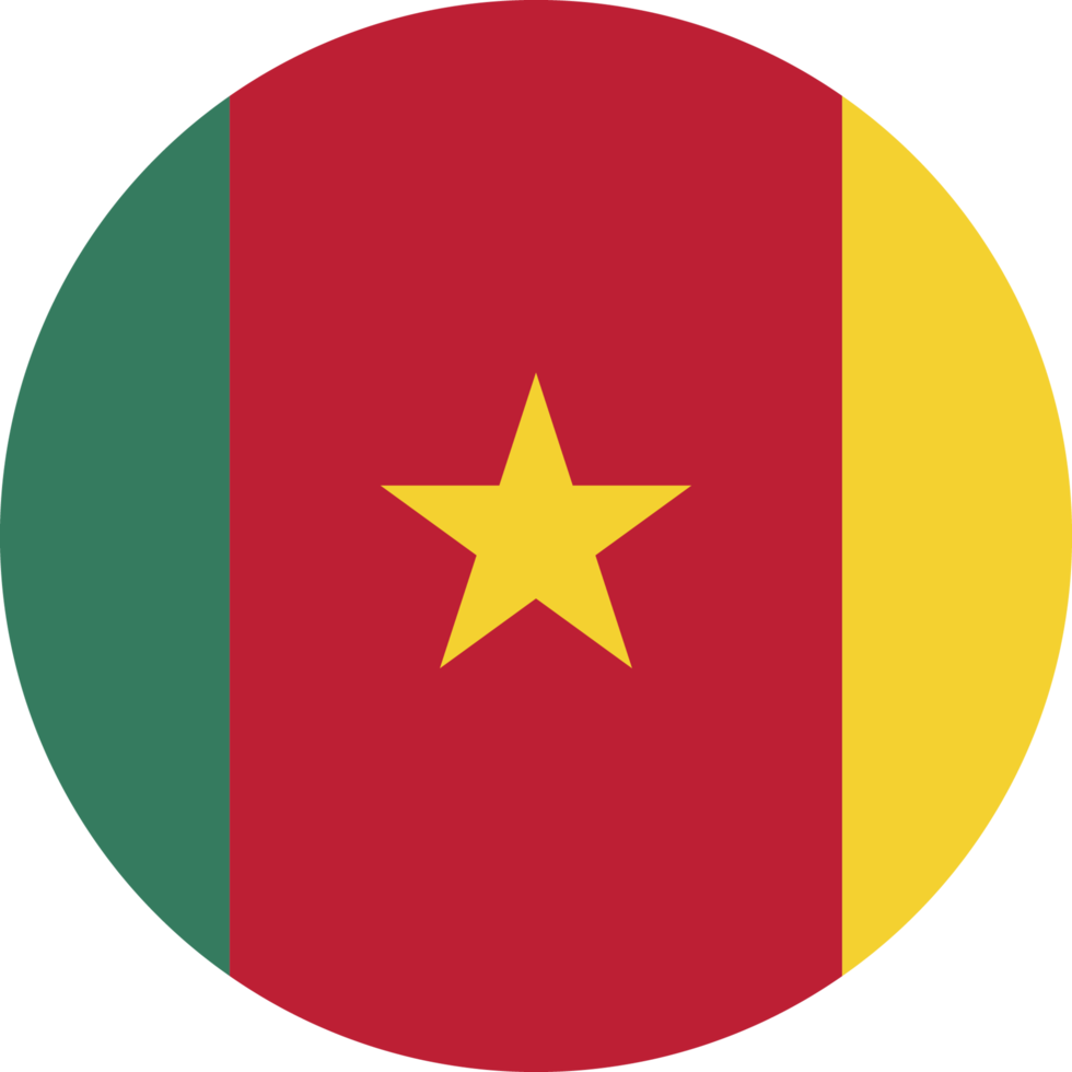 Bandiera Camerun